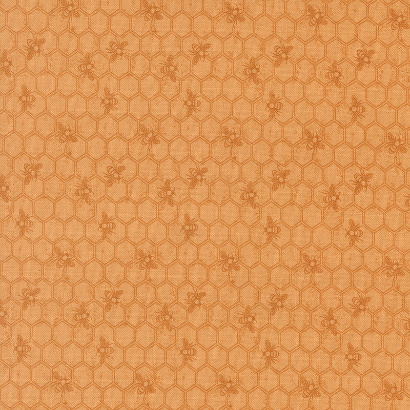 Wild Honey - Honeycomb Honey