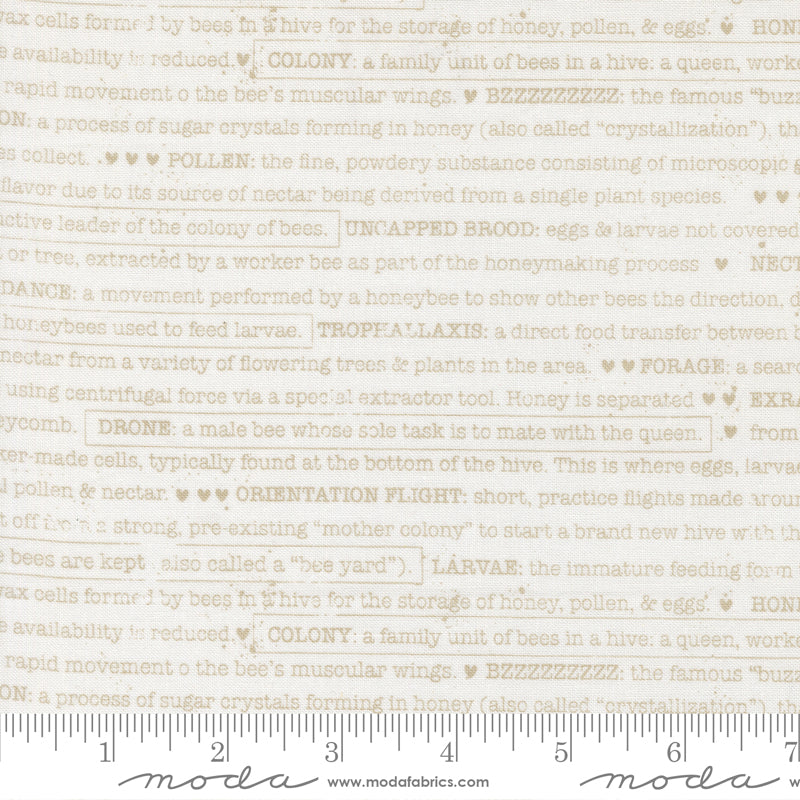 Wild Honey - Buzz Words Daisy