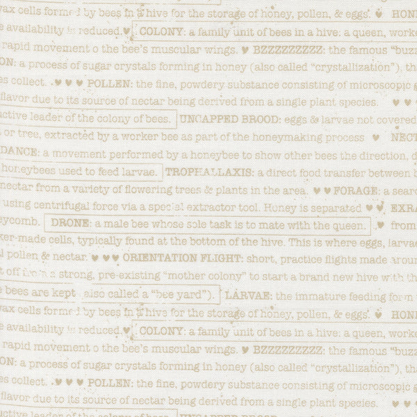 Wild Honey - Buzz Words Daisy