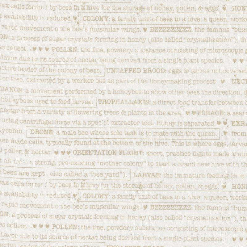 Wild Honey - Buzz Words Daisy