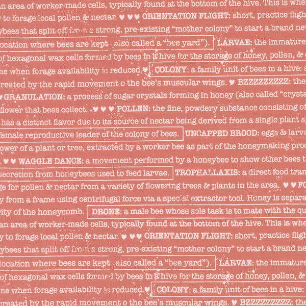 Wild Honey - Buzz Words Rose Water