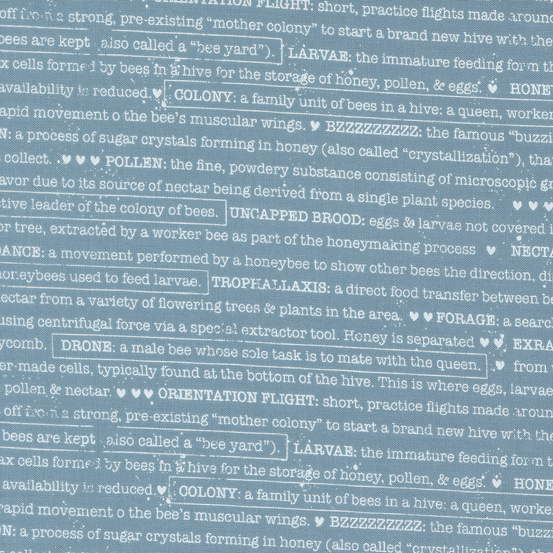 Wild Honey - Buzz Words Sky