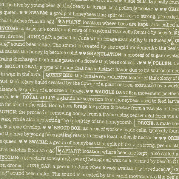 Wild Honey - Buzz Words Fern