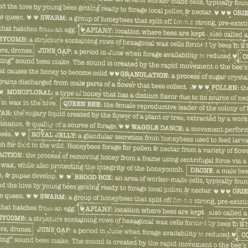 Wild Honey - Buzz Words Fern