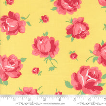 Load image into Gallery viewer, Summertime - Rose - Sunshine