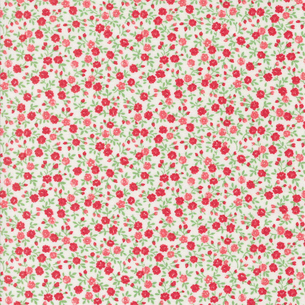 Summertime - Bloom - Cream