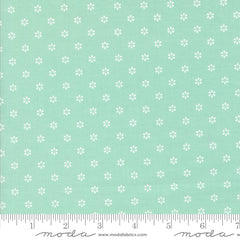 Summertime - Circles - Aqua