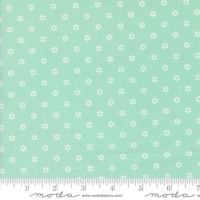 Summertime - Circles - Aqua
