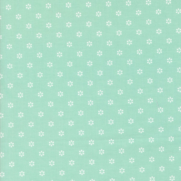 Summertime - Circles - Aqua