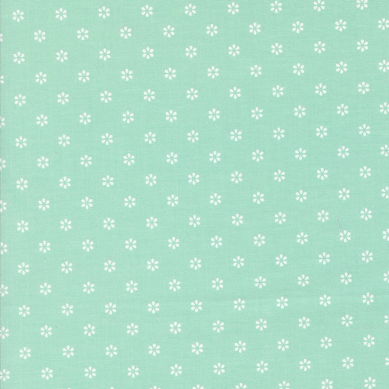 Summertime - Circles - Aqua