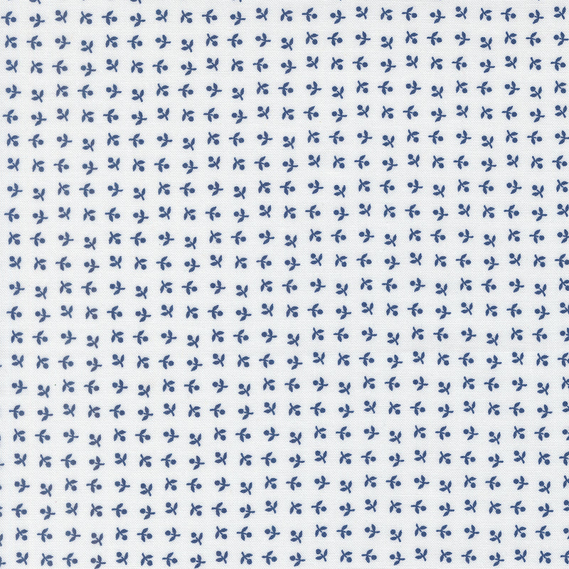 Blueprint - Somerset - White/Navy