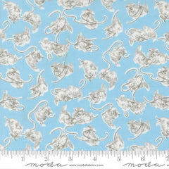 A Cat Named Stitched - Georgie in Sky