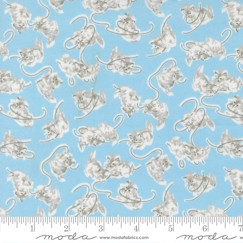 A Cat Named Stitched - Georgie in Sky