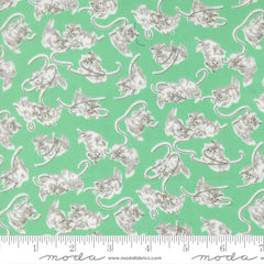 A Cat Named Stitched - Georgie in Green