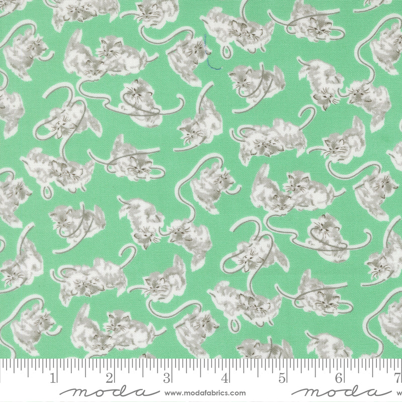 A Cat Named Stitched - Georgie in Green