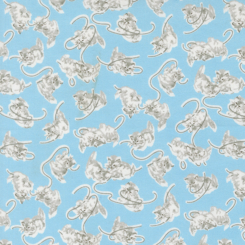 A Cat Named Stitched - Georgie in Sky
