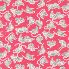 A Cat Named Stitched - Georgie in Rose