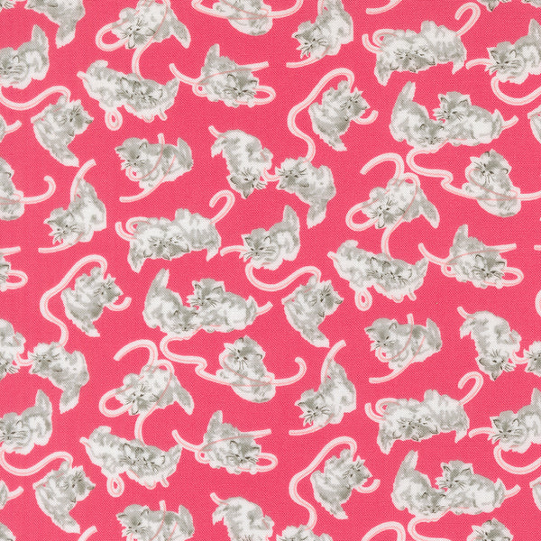 A Cat Named Stitched - Georgie in Rose