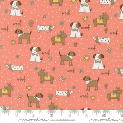 Lucky - Puppy Parade - Flower