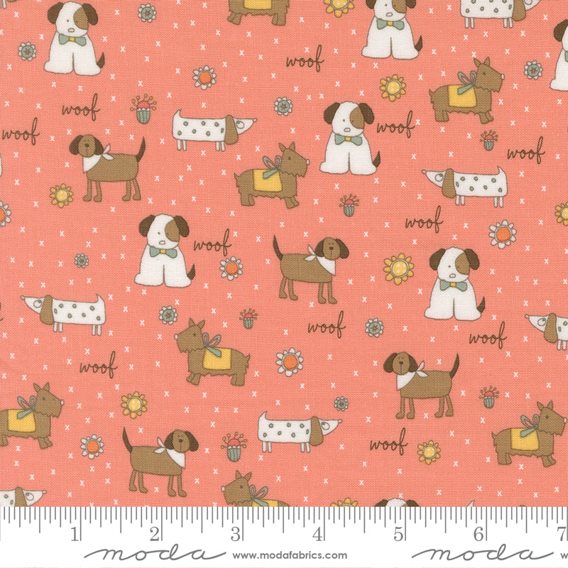 Lucky - Puppy Parade - Flower