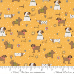 Lucky - Puppy Parade - Sun