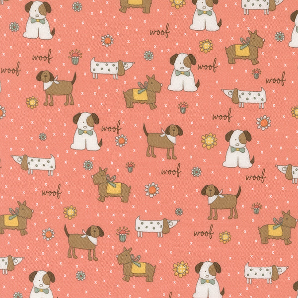 Lucky - Puppy Parade - Flower