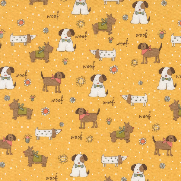 Lucky - Puppy Parade - Sun
