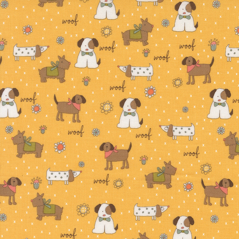 Lucky - Puppy Parade - Sun