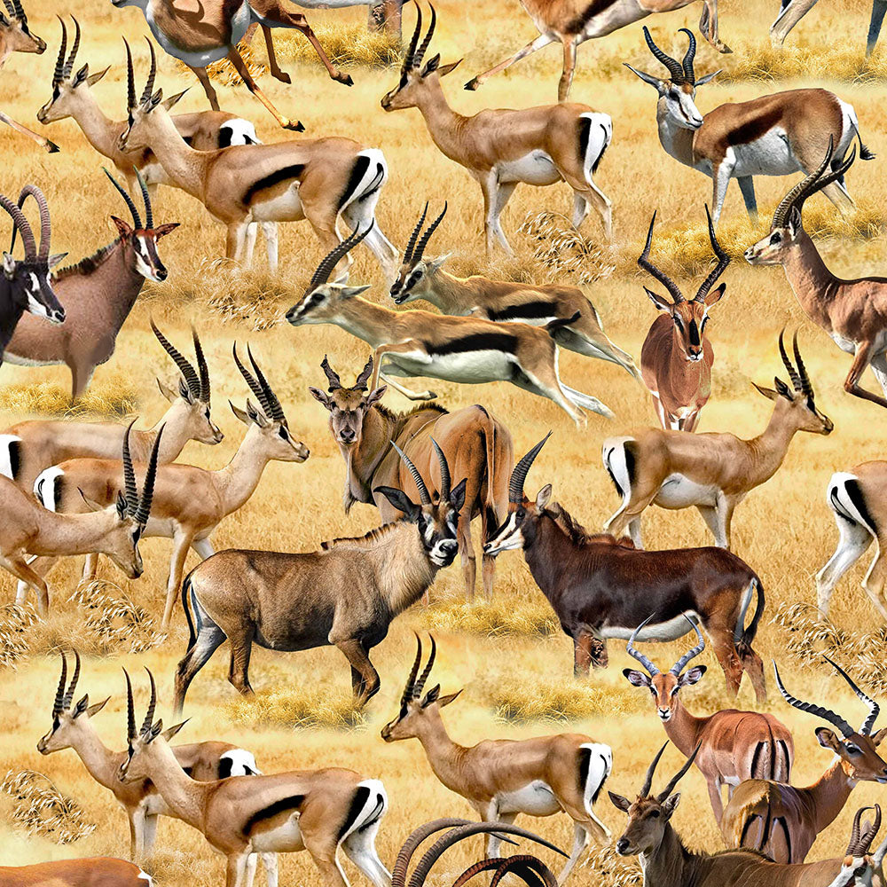 Serengeti Plains - Springbok Wild Run Sand