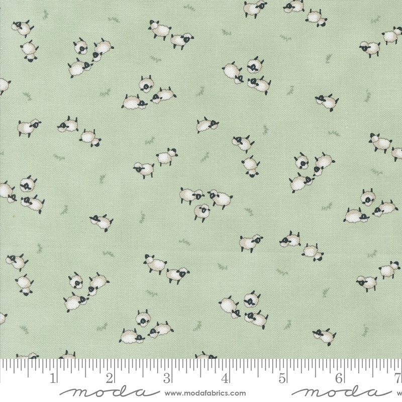 Willow's Farm - Sheep in the Pasture - Sage