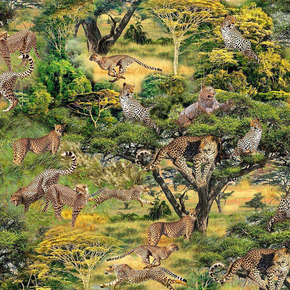 Serengeti Plains - Cheetahs on the plains