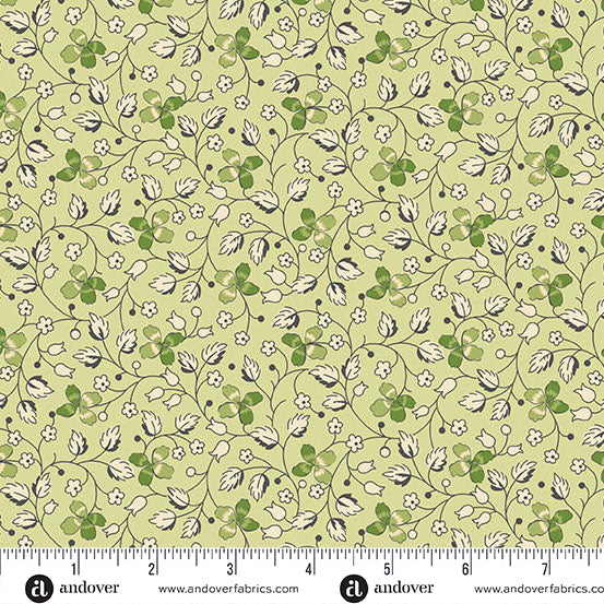 Little Clover - Creeping Clover in Grellow
