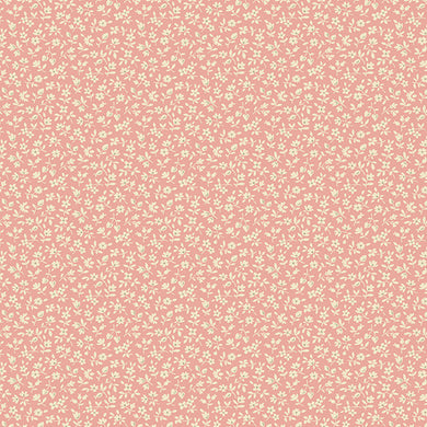 Cocoa Pink - Snowberry Peony