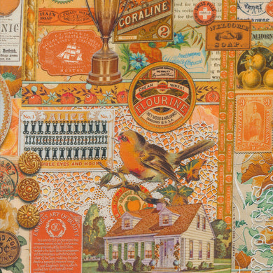 Curated in Color - Collage in Orange