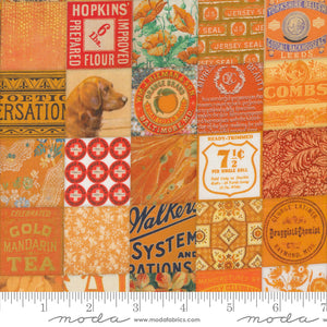 Curated in Color - Patchwork Orange