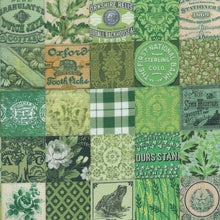 Load image into Gallery viewer, Curated in Color - Patchwork Green