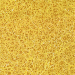 Curated in Color - Marble Yellow