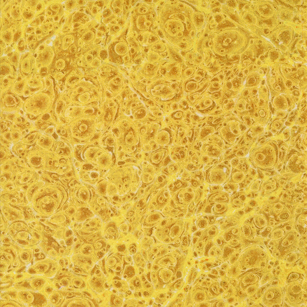 Curated in Color - Marble Yellow