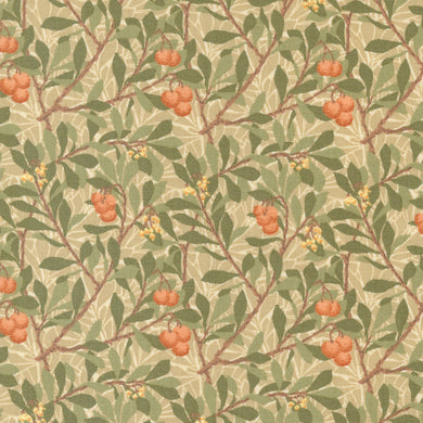 Morris Meadow - Arbutus Blenders - Parchment