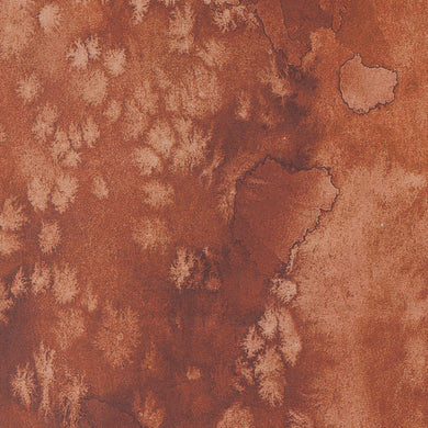 Desert Oasis - Flow Basic - Redwood