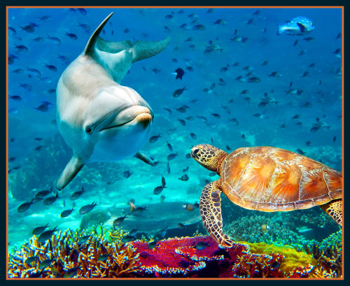 Marine Marvels Dolphin & Turtle Panel