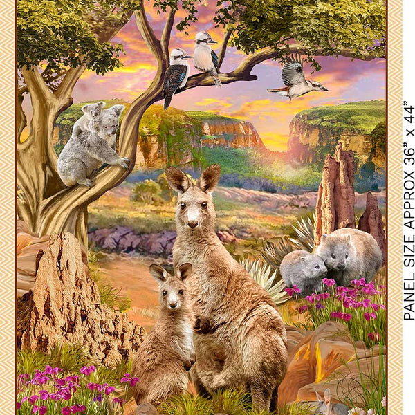 Outback Magic Panel