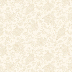 Apple Cider 18 - PB6416E