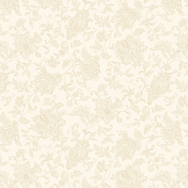 Apple Cider 18 - PB6416E