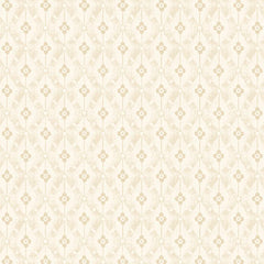 Apple Cider 18 - PB6417E