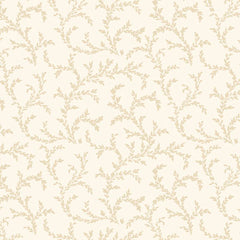 Apple Cider 18 - PB6418E