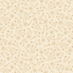 Apple Cider 18 - PB6421NE