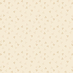 Apple Cider 18 - PB6423NE