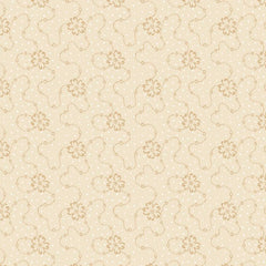 Apple Cider 18 - PB6424NE