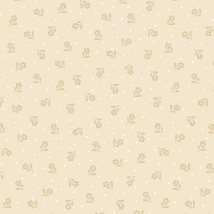 Apple Cider 18 - PB6425NE
